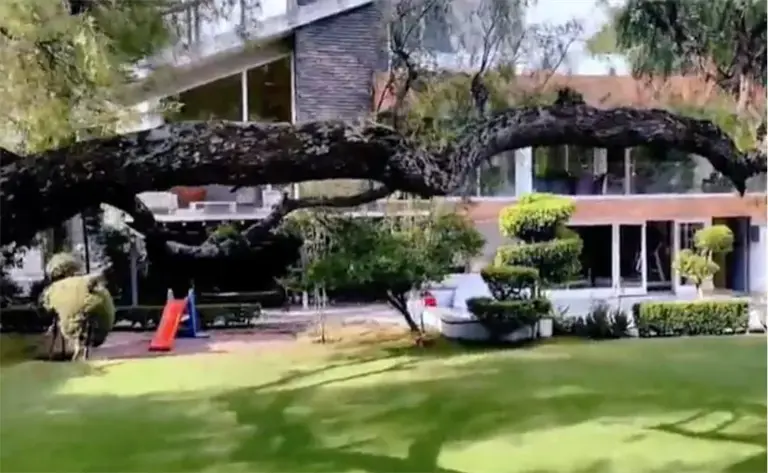 Casa de Maribel Guardia. Foto: cortesía.