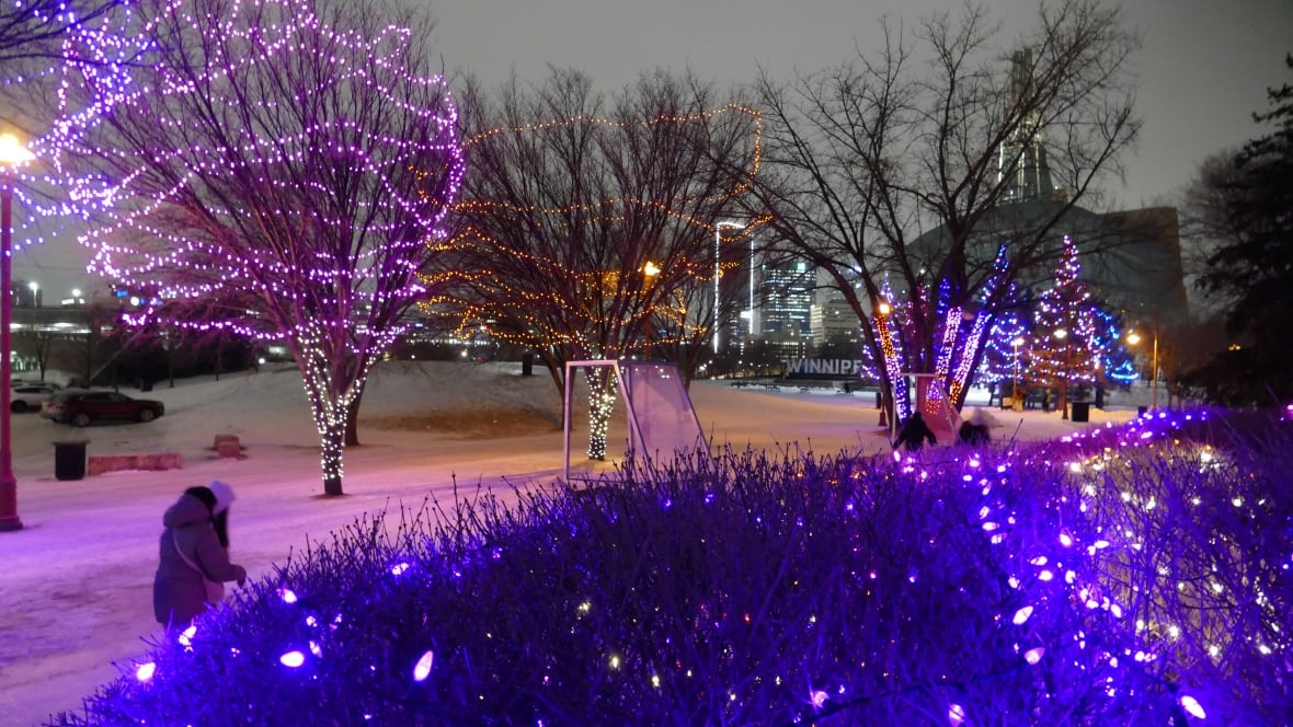 Upper skating trail, CN Stage rink opening at The Forks
