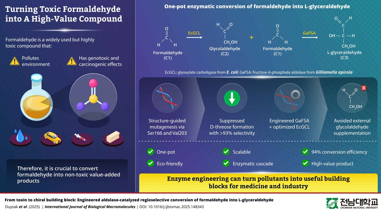 Engineered enzyme turns formaldehyde pollutant into key pharmaceutical ...