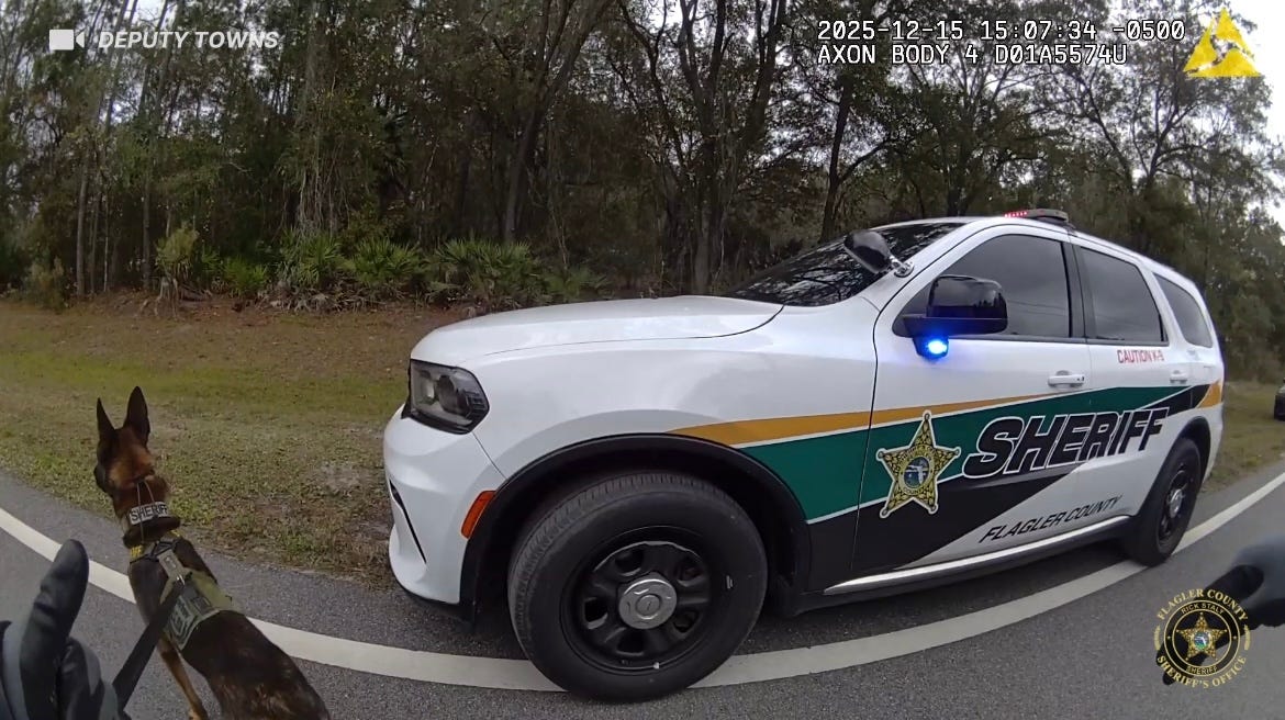 Flagler Sheriff's Office K9 catches burglary suspect hiding in woods(01)