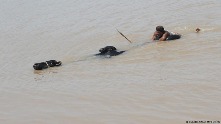 Пакистан предупреждал, что действия Индии напрямую угрожают фермерам, зависимым от водной политики Нью-Дели (ФАЙЛ: 4 сентября 2025 года)
