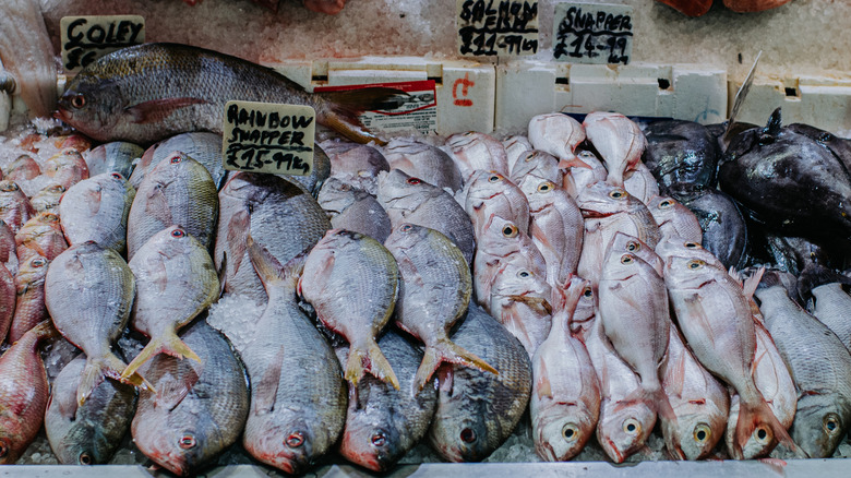 The reason frozen fish can be superior to fresh