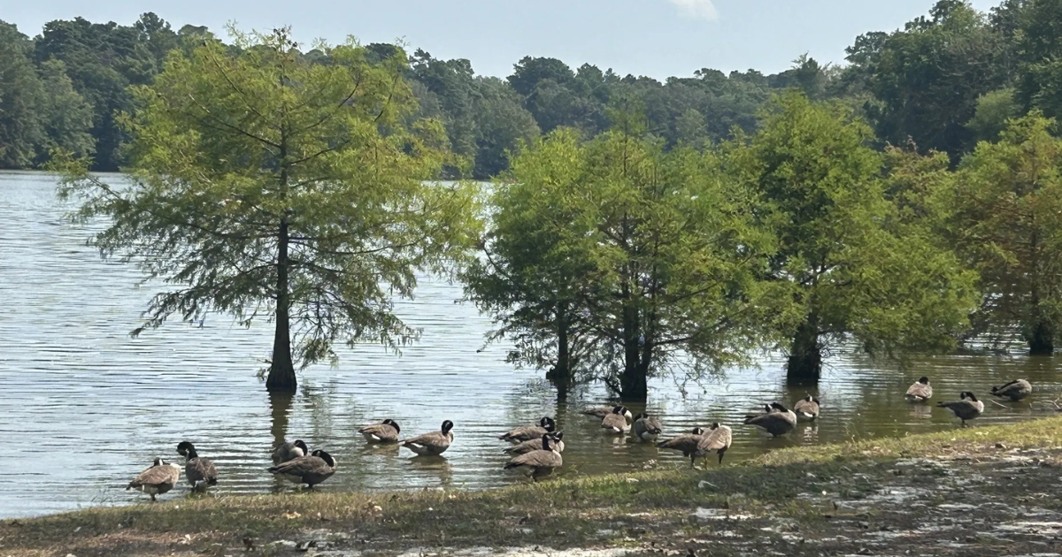 See 4 of Delaware's best views (no expert-level hiking required)