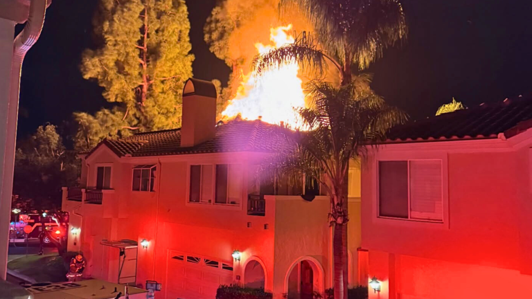 Dogs rescued as firefighters knock down condo fire in Orange County