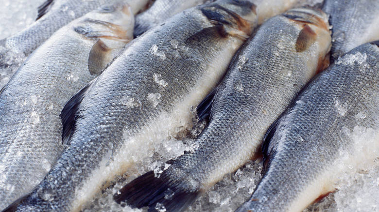 The reason frozen fish can be superior to fresh