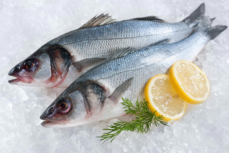 The 14 most sustainable fish to eat—and 11 types to avoid