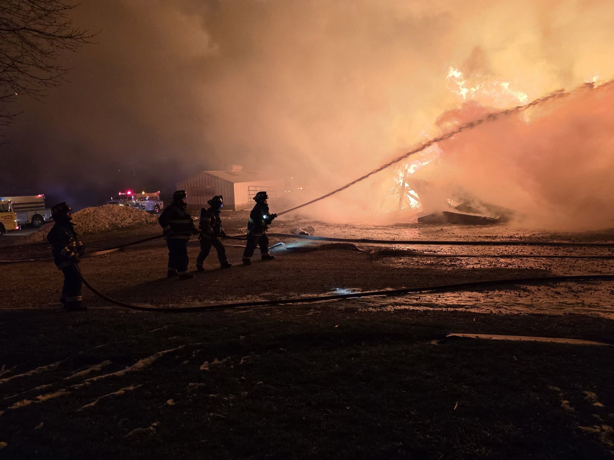 31 yearlings rescued from barn fire in Pearl City