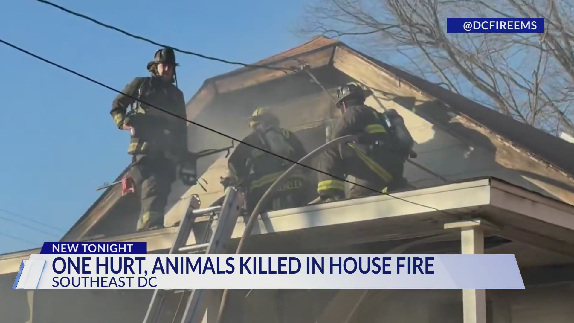5 pets killed, man seriously hurt in DC house fire
