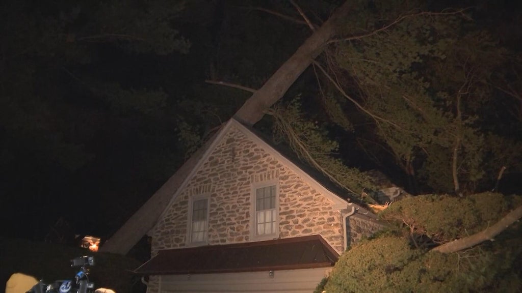 Damaging winds pummel Philadelphia, South Jersey, toppling trees onto ...