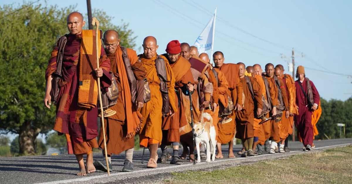 19 Buddhist monks (and a rescue dog) are walking 2,300 miles across the ...