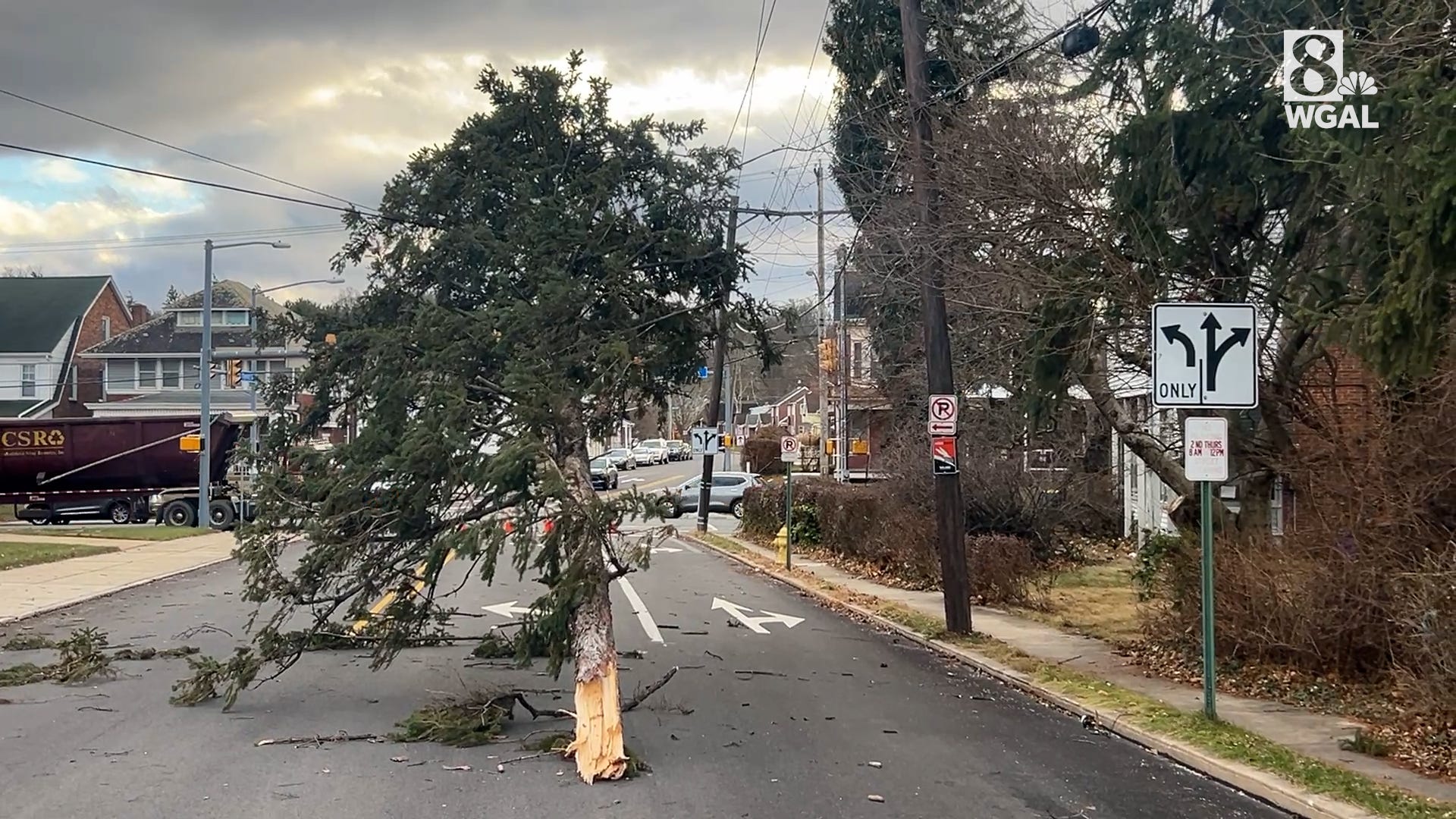 Snapped tree lands in middle of York County street
