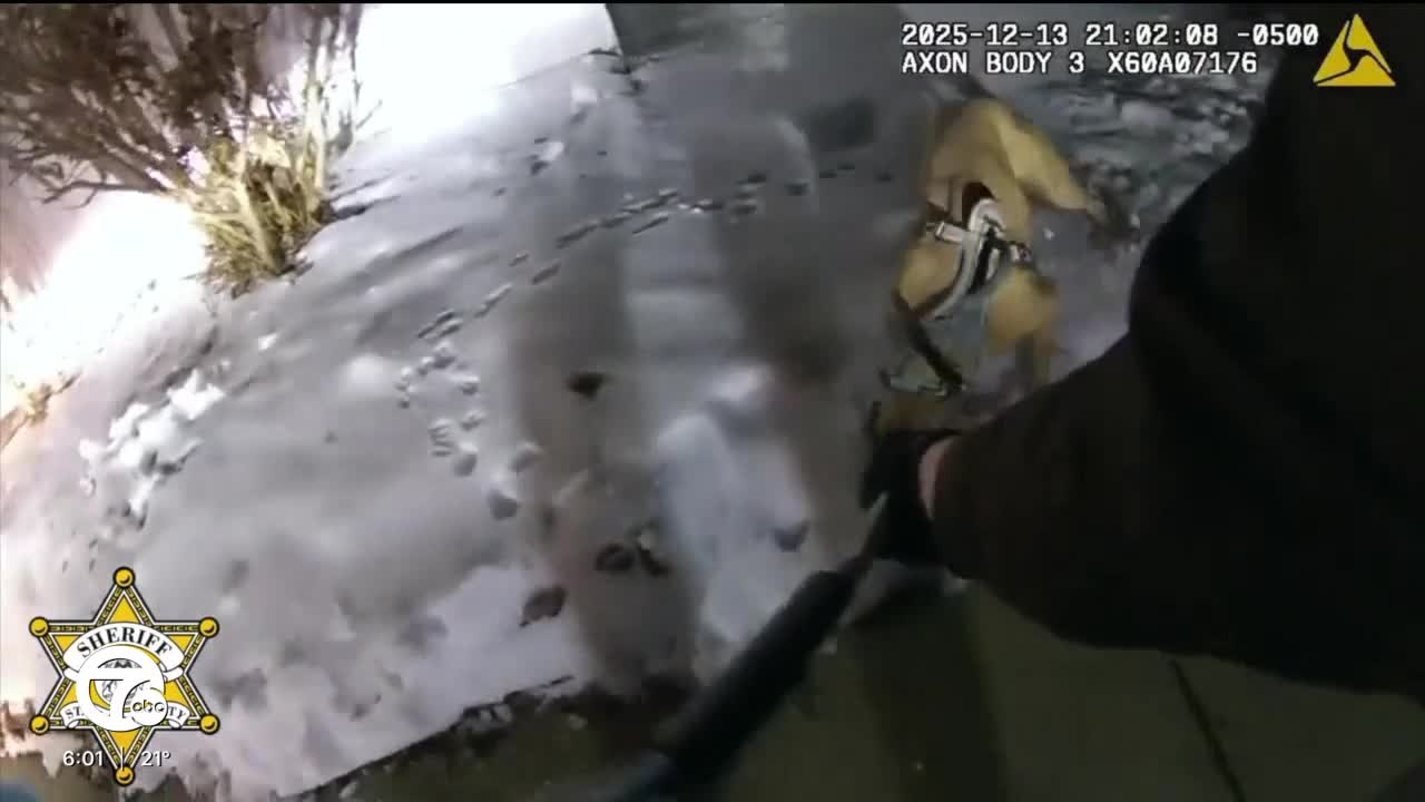 Outrage in St. Clair County after deputy shoots and kills aggressive dog