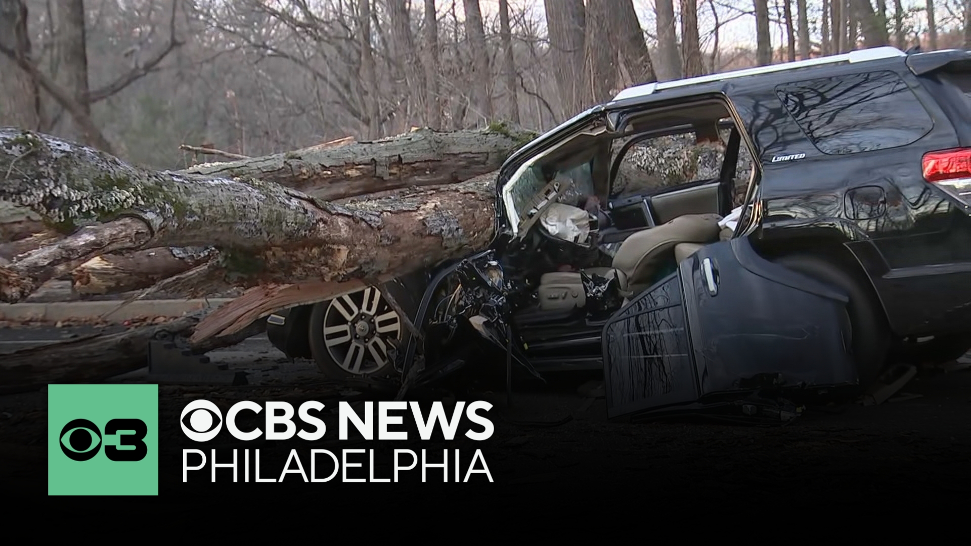 2 rescued after tree falls on SUV in Philadelphia neighborhood