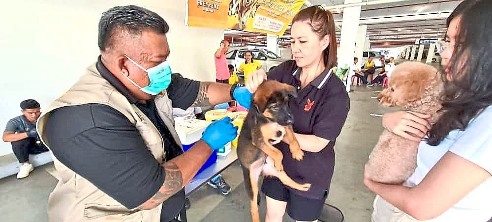 Anti-rabies drive at carpark sees over 70 pets vaccinated in Sibu