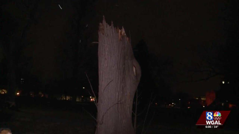 Heavy winds snap tree in half at York City park | Residents left shocked