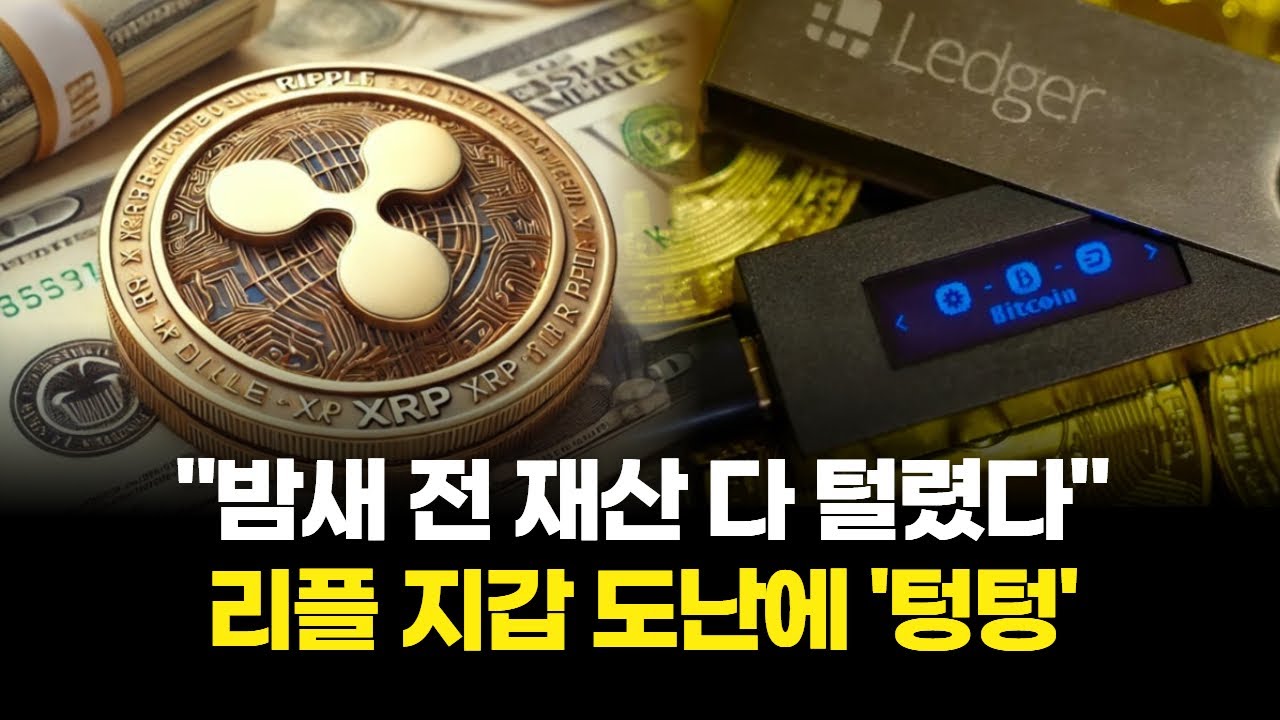 밤새 전 재산 다 털렸다…리플 지갑 도난에 텅텅 | Watch