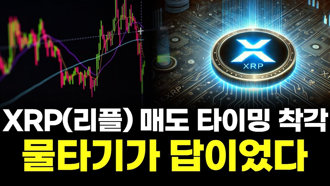 XRP(리플) 매도 타이밍 착각... 물타기가 답이었다 | Watch