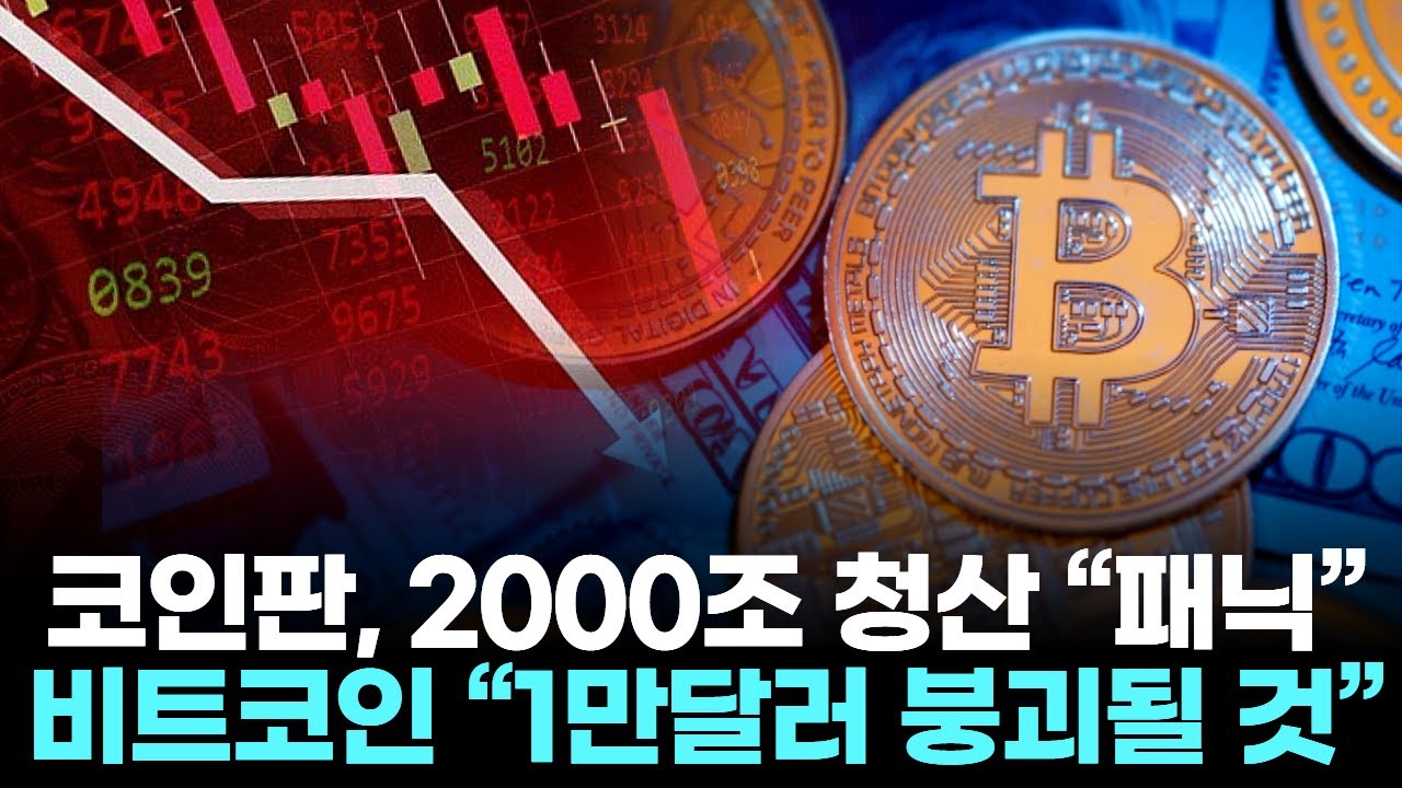 코인판, 4분기 2000조 증발 “파산 직면” … 비트코인 “1만달러 붕괴될 것”