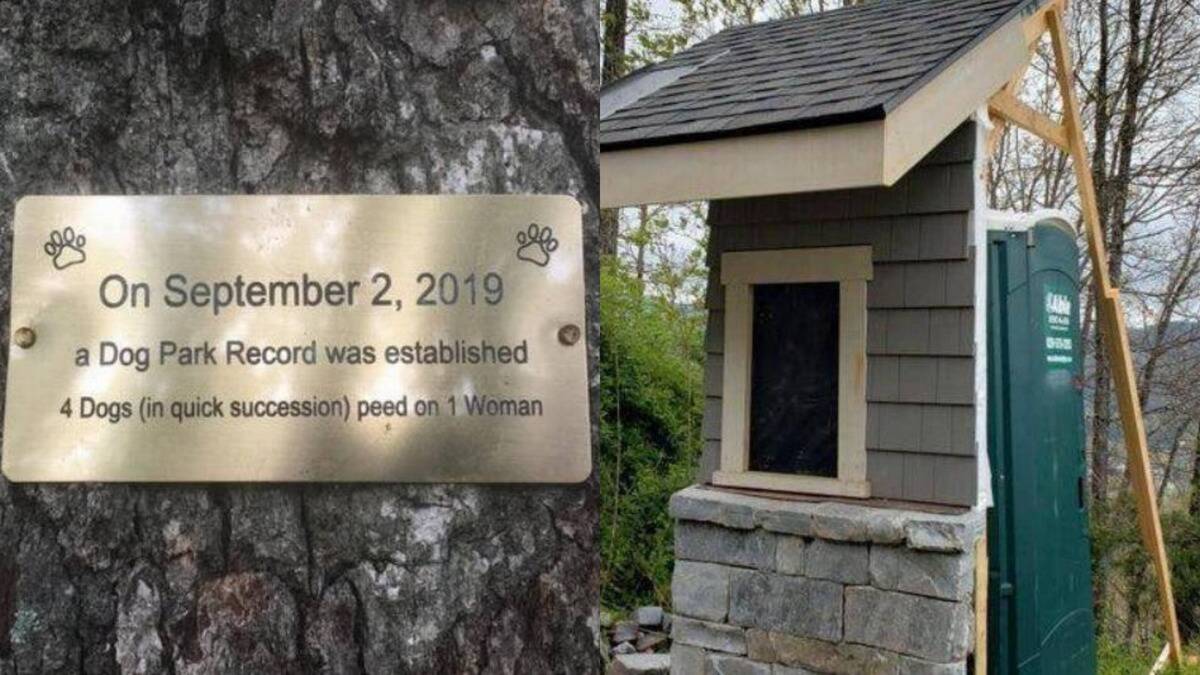 Photos that are more than mildly interesting