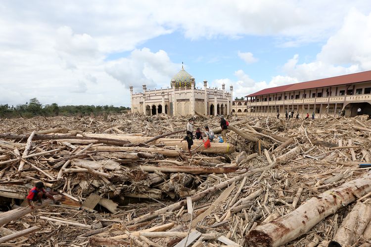 Kejagung Minta Polri Lengkapi Bukti Tersangka Kasus Kayu Sumatera