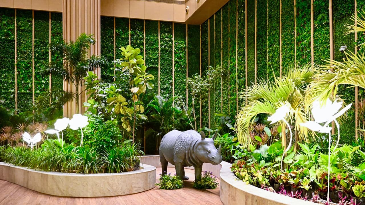 Nature takes centre stage as PM Modi opens India's first nature-themed ...