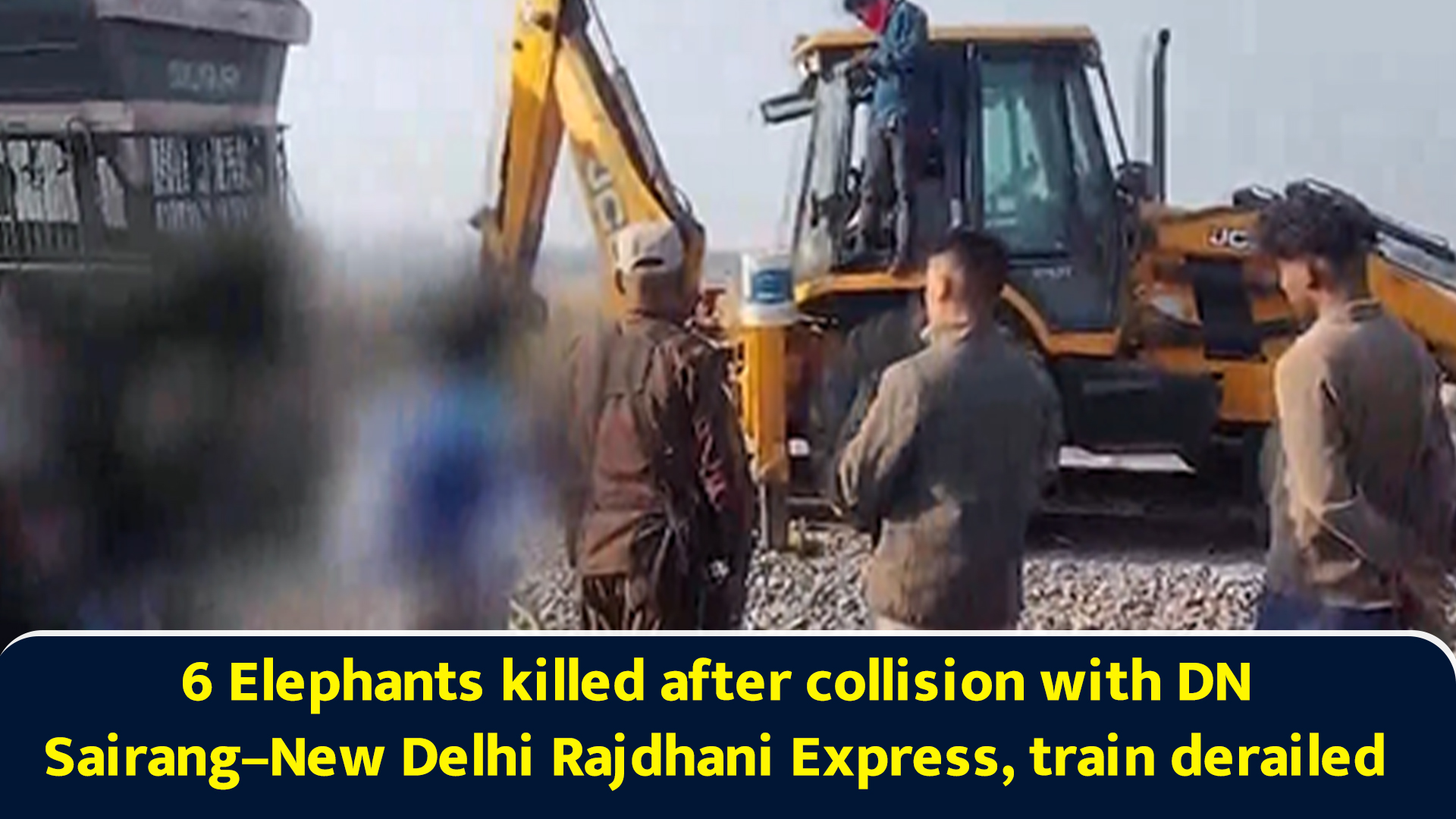7 elephants killed after collision with DN Sairang–New Delhi Rajdhani ...