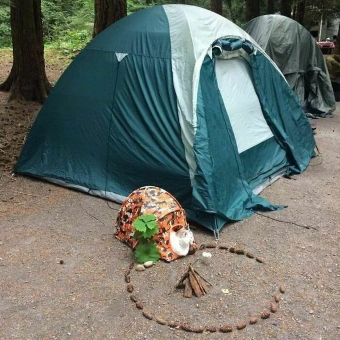 47 Wholesome And Unusual Animal Pics To Give You Some Serious Animal Therapy