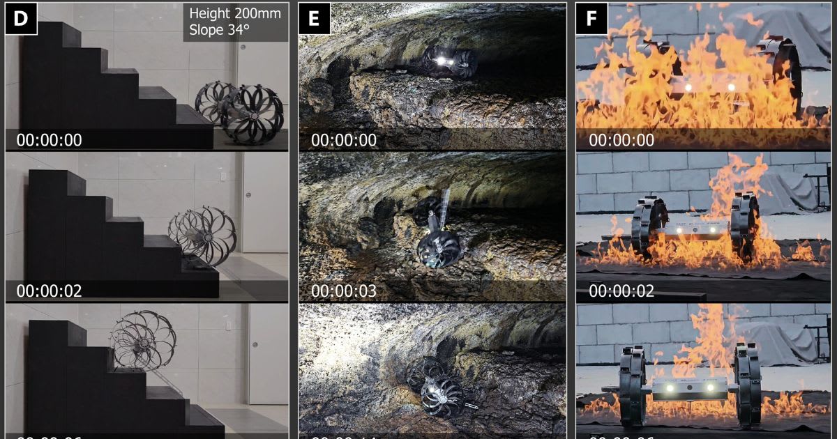 The rover climbed a 200 mm, 34° step, traversed rocky cave terrain simulating lunar conditions, and endured extreme heat, confirming the wheel’s strength and versatility. (Image Source: Lee, B et al. Science Robotics)