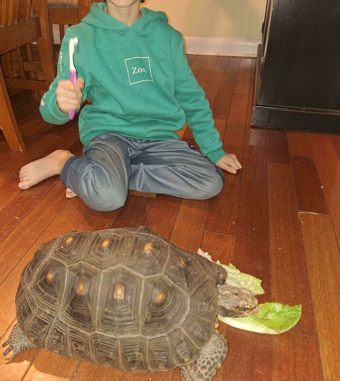 49 Adopted Pets Who Brought Joy To Their New Owners