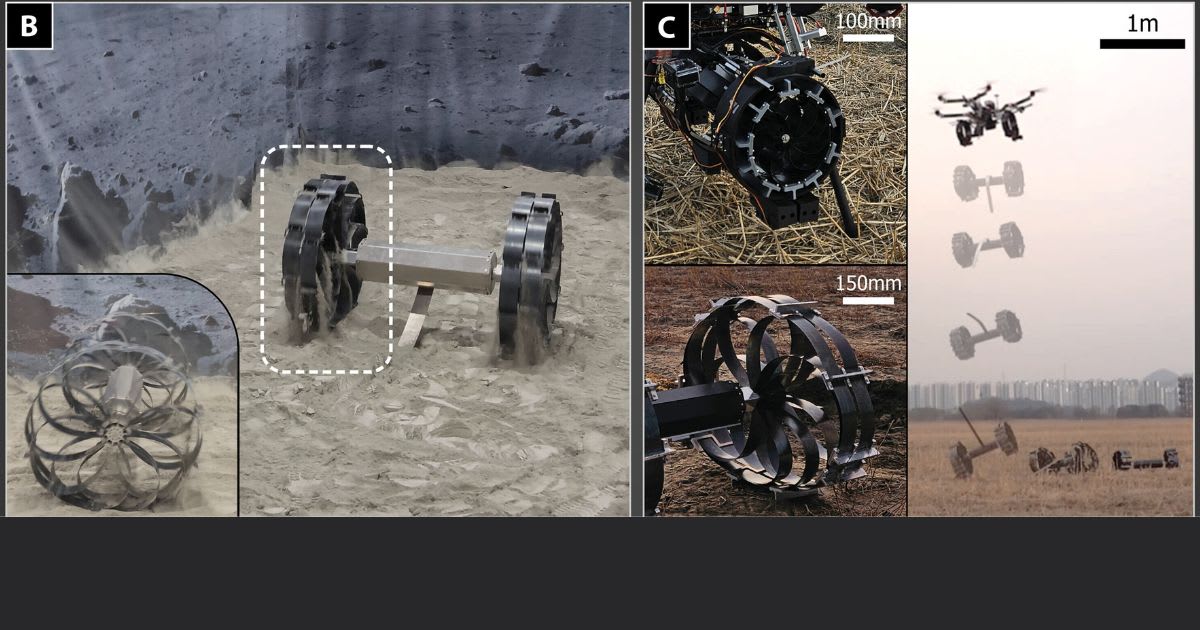 Tests showed the rover stayed stable on dusty lunar soil, avoided sand traps, and survived a 4-meter drop under Earth’s gravity, confirming the deployable wheel’s strength and impact resistance. (Image Source: Lee, B et al. Science Robotics)