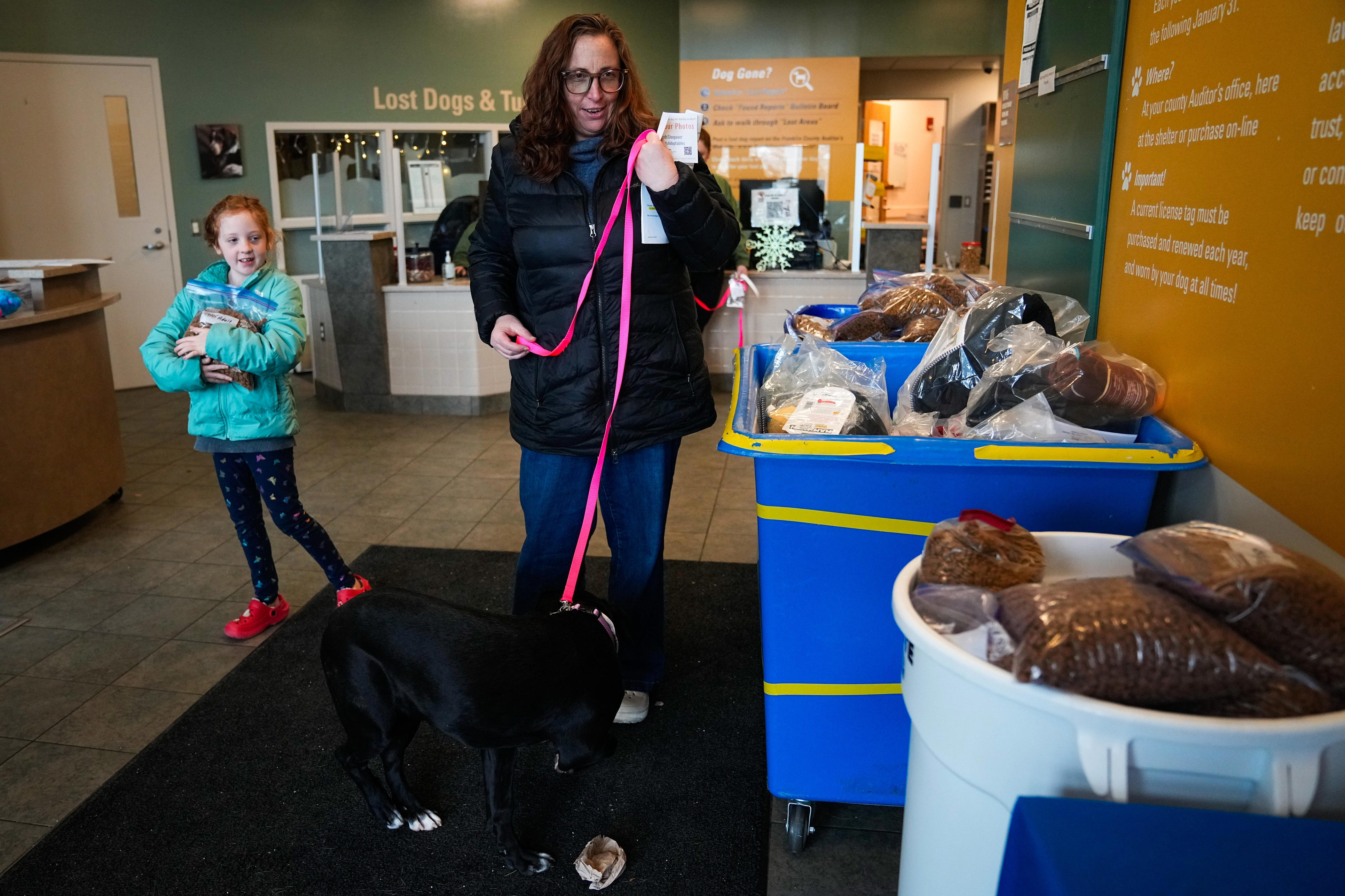 Here's how you can foster a central Ohio shelter dog over Christmas