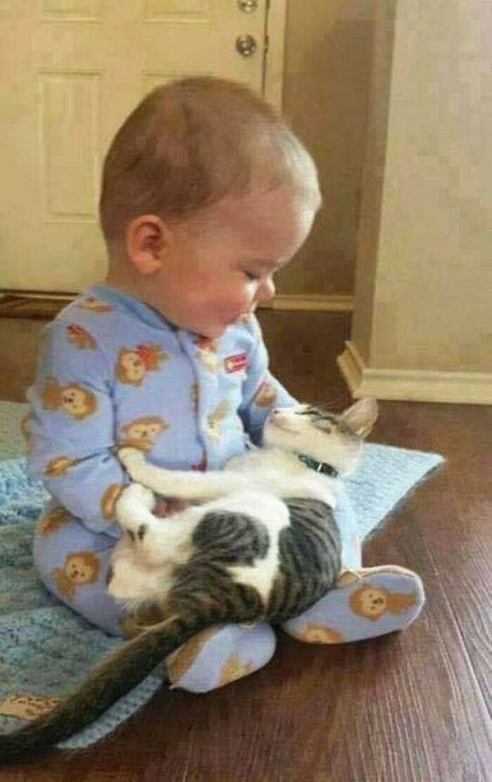 47 Wholesome And Unusual Animal Pics To Give You Some Serious Animal Therapy