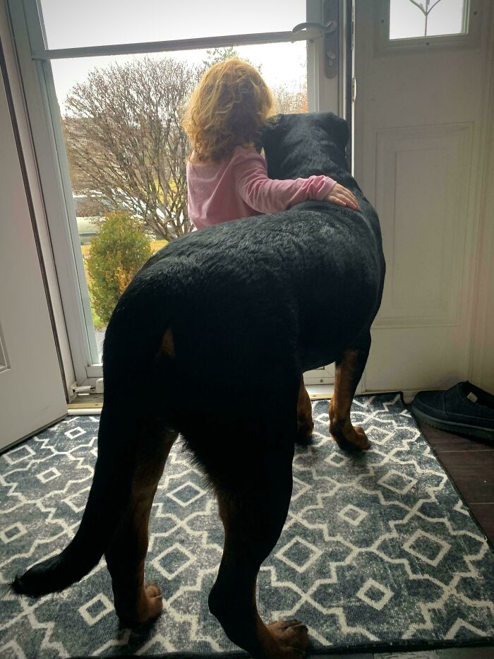 49 Adopted Pets Who Brought Joy To Their New Owners