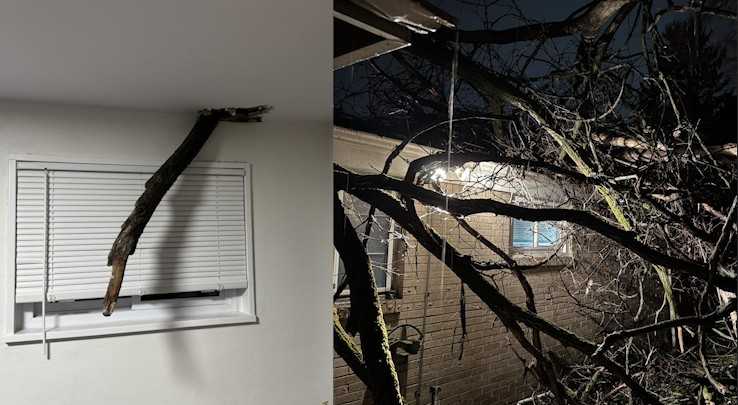 Penn Hills VFC: Home evacuated after tree falls onto roof