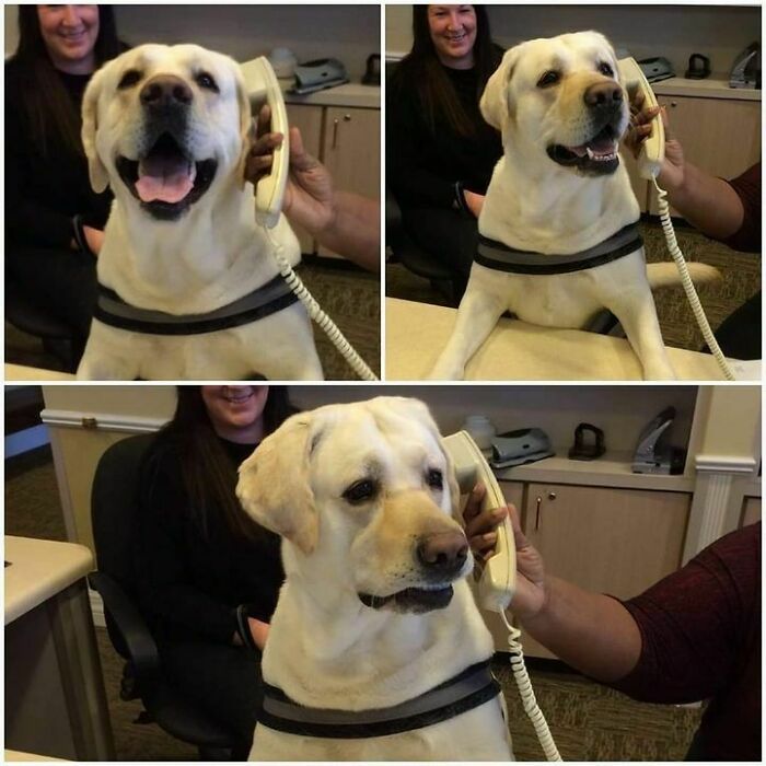 47 Wholesome And Unusual Animal Pics To Give You Some Serious Animal Therapy