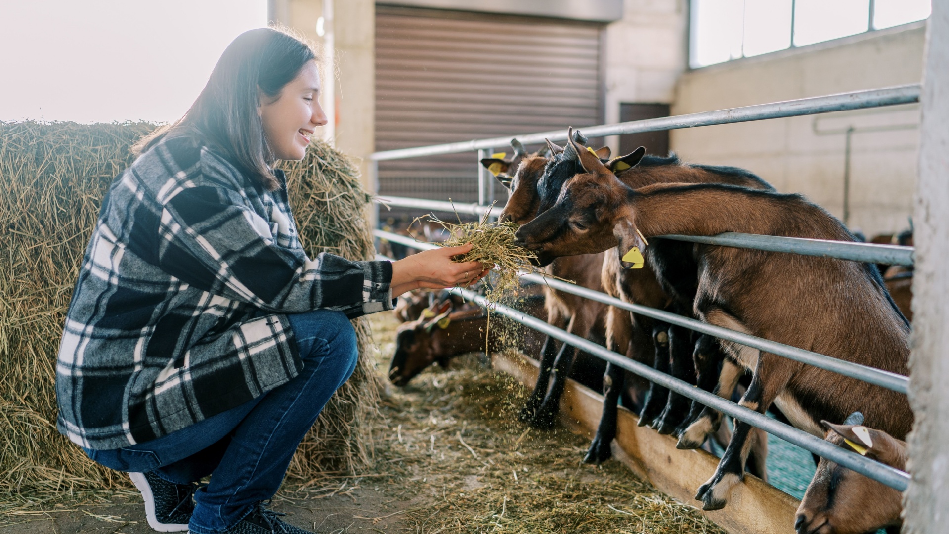9 animals that require the most daily care