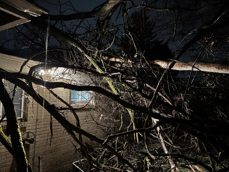 Penn Hills VFC: Home evacuated after tree falls onto roof