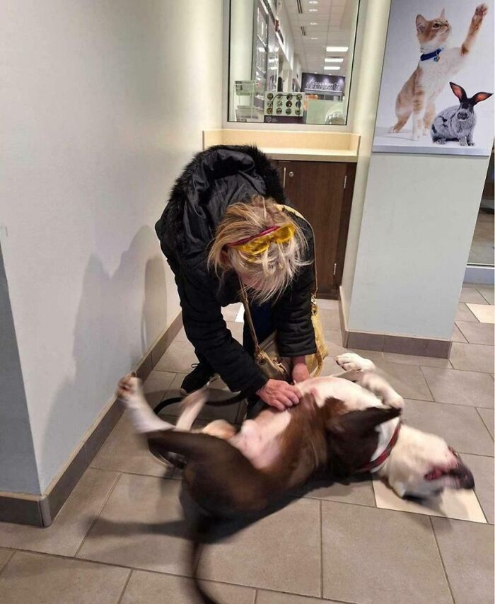 49 Adopted Pets Who Brought Joy To Their New Owners