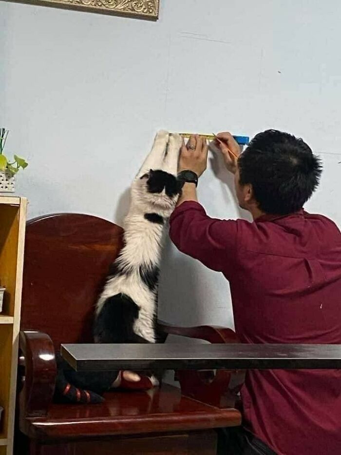 47 Wholesome And Unusual Animal Pics To Give You Some Serious Animal Therapy