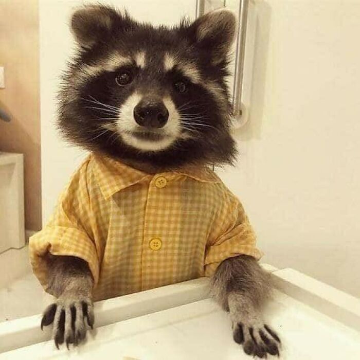 47 Wholesome And Unusual Animal Pics To Give You Some Serious Animal Therapy