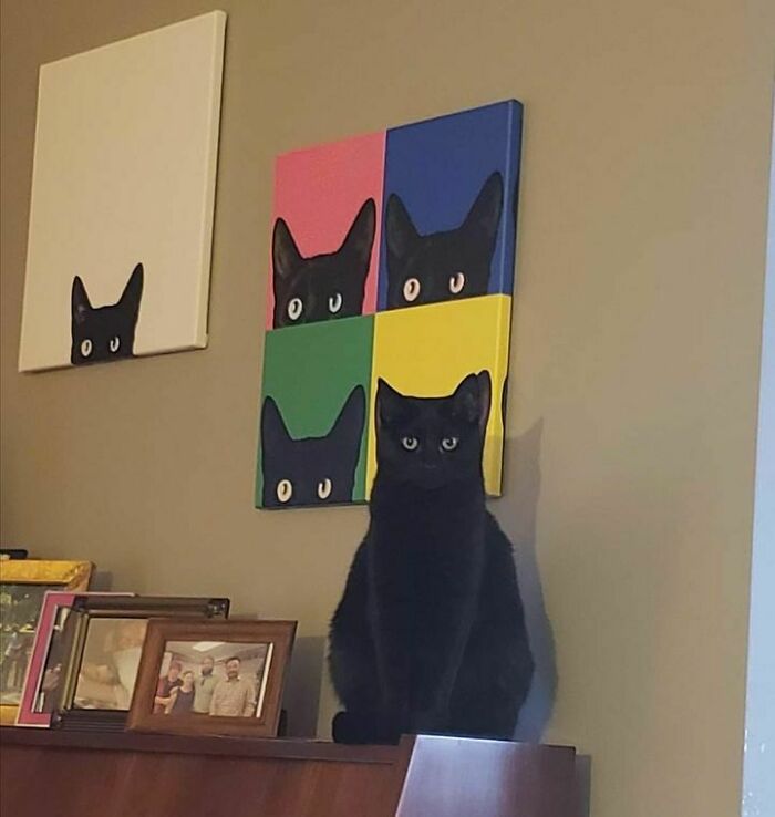 47 Wholesome And Unusual Animal Pics To Give You Some Serious Animal Therapy