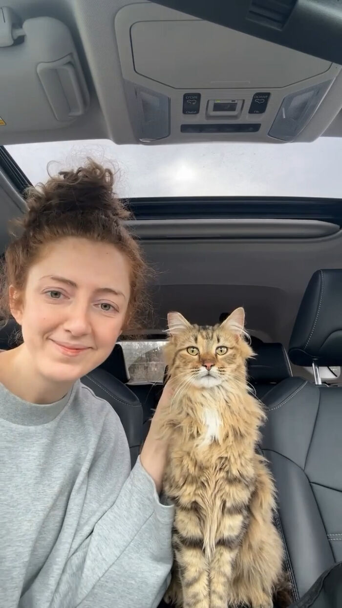 49 Adopted Pets Who Brought Joy To Their New Owners