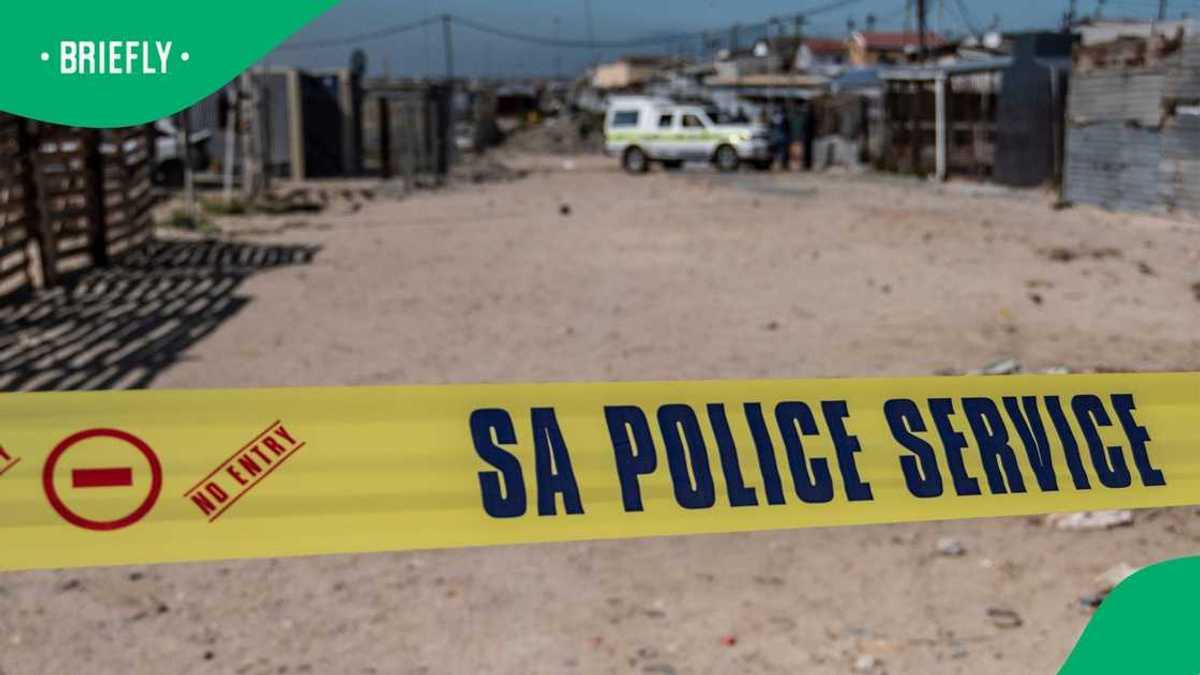 Double tragedy: Investigations underway after child and teenager killed ...