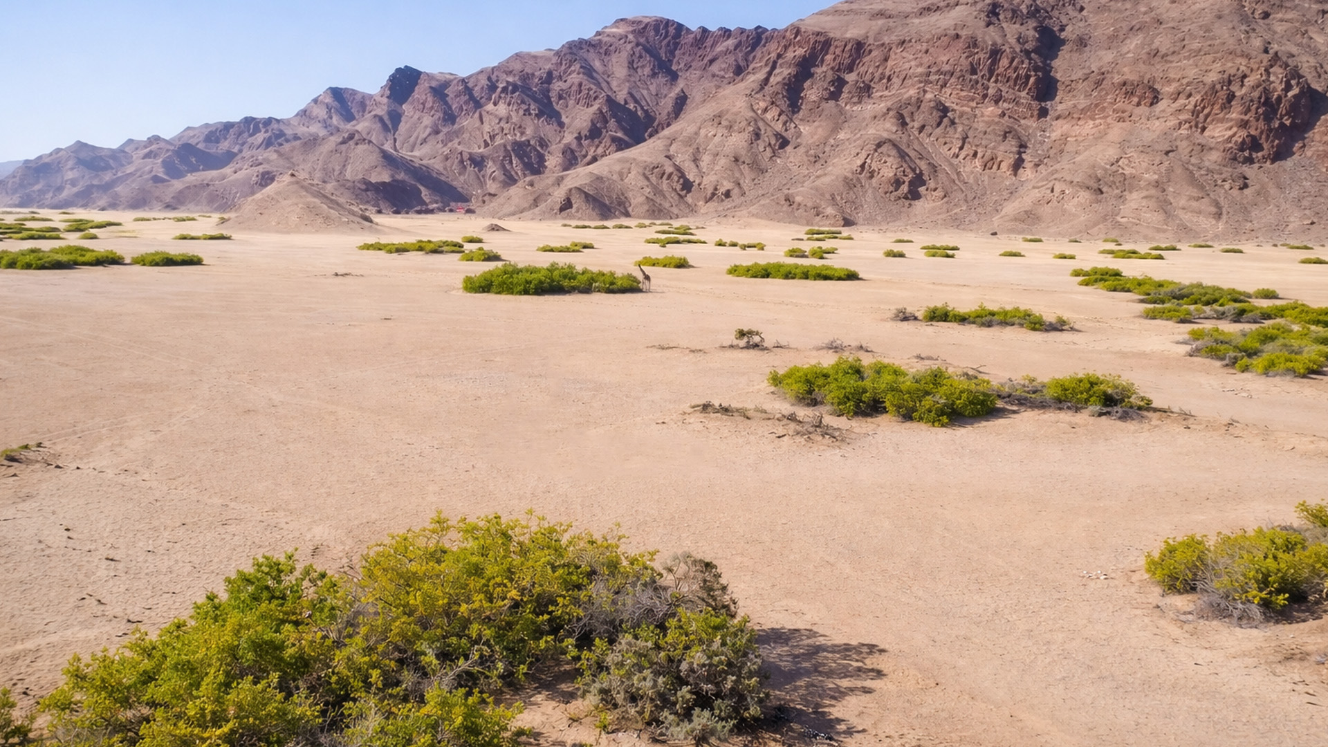 Namibia’s desert wilderness
