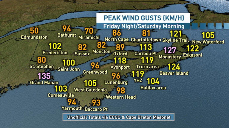 High winds knock out power for tens of thousands in Nova Scotia