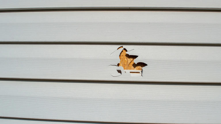 Downsides that may make you reconsider vinyl siding