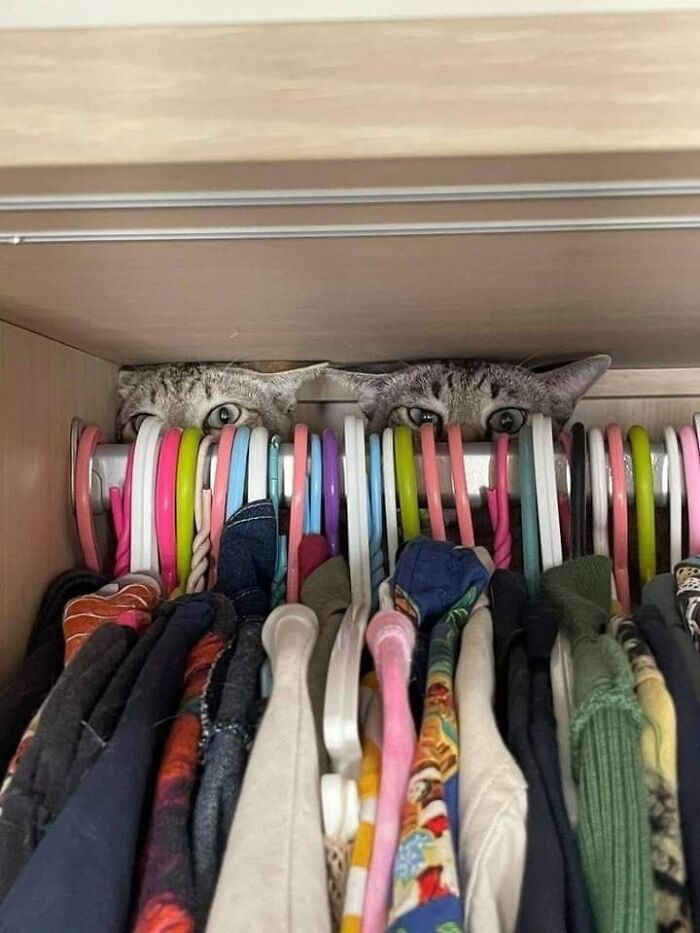 47 Wholesome And Unusual Animal Pics To Give You Some Serious Animal Therapy