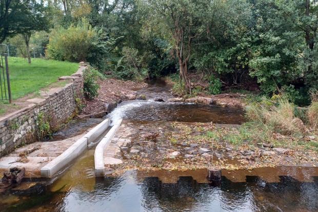 Restoration at Brecon Weir helps fish pass