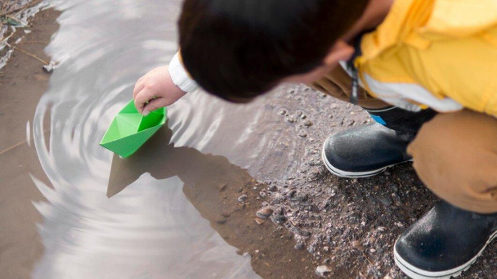 Tak Terduga, Kenali 9 Kesalahan Kecil yang Menarik Nyamuk ke Rumahmu