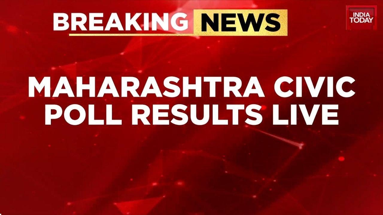 Maharashtra civic poll results: BJP leads in 85 bodies, NCP retains Baramati<br><br>